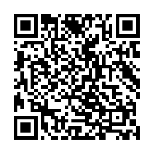 就算没有今天这事我觉得格力斯几个也不会放弃报复我的二维码生成