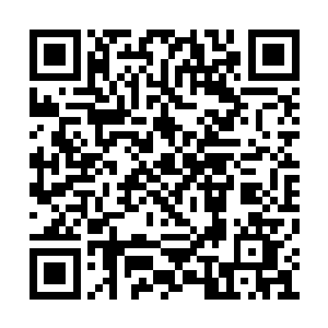 就算没有确切的答案也应该有一个合理的推测吧二维码生成