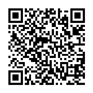 就算灵气属性为其他四种的也愿意冒险来抢夺这上古之物二维码生成