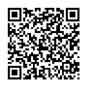就算琴家··那些凡人这么多年都不知道多少代了二维码生成