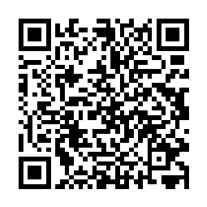 就算留在碎雪关等到真的交战起来自己也顾不了她了二维码生成