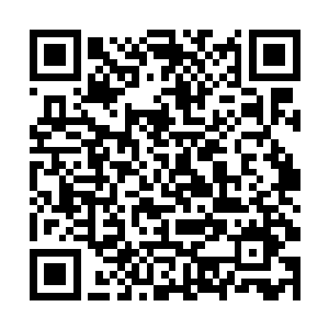 就算知道是送死也不会停下脚步的事情是做不出来的二维码生成