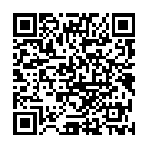 就算神经大条的马晶莹也干不出买自己夺第一这样的蠢事二维码生成