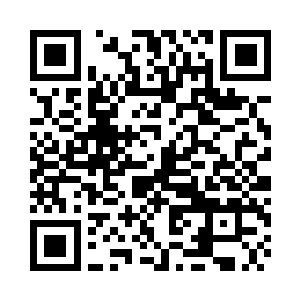 就算神经网络的生长模式比较原始二维码生成