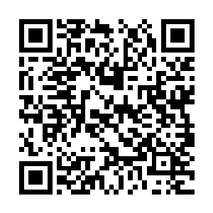 就算穷极一生也未必能找到一种属性的千年五行草二维码生成