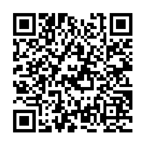 就算类人种族中的雌性也不可能从他深情的目光中逃脱二维码生成