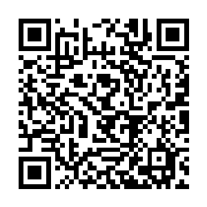 就算经过了三万年逃亡生涯中的痛苦折磨和不断反思二维码生成