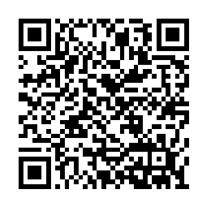 就算苍茫界的四大霸主这辈子也舍不得消费几块二维码生成