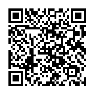 就算范子衿在后面一连串的喊人抱住小熊也没能抓住他二维码生成