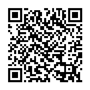 就算被关上三年五年野性也都丝毫不会减退半分二维码生成