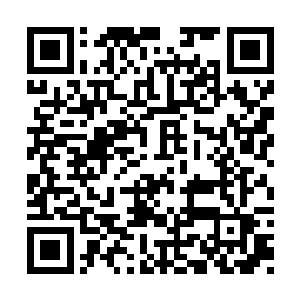 就算许紫烟和燕山魂没有精力去关注周围的情况二维码生成