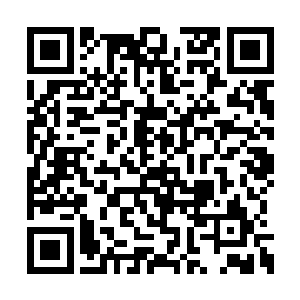 就算赵尔文将张冬雪麾下的第三镇诸侯带了出去二维码生成