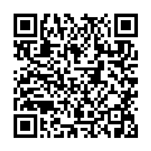 就算这一拳只有十分之一的力量也不是你能抗住的二维码生成