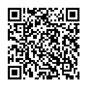 就算这里所有人再加三十六鬼卫幻影也堵不住这么多白位二维码生成