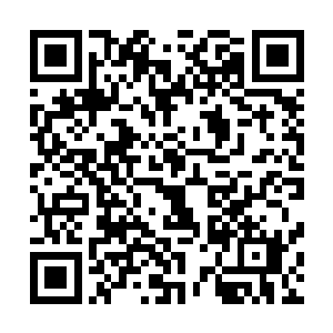 就算那一骑突出的蟒袍男子此生都站不到他父亲的那种高度二维码生成