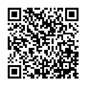 就算那东方玉兰的确如东方盛才所说的那般天姿绝色又如何二维码生成