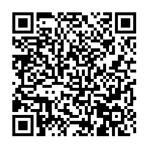 就算那些上古家族族长和隐世大宗的宗主都没有资格参加最高战略会议二维码生成