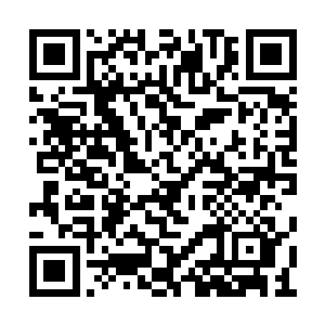 就算醒来了也只是呆呆的坐在那里没有任何动作二维码生成