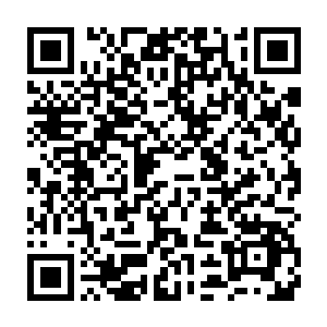 就算队伍之中有摩柯托和菲力这样的魔王护持也改变不了这个局面二维码生成