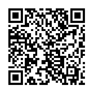 就算陆天养天纵奇才也够呛能熬过陆江和昭华郡主等人的打压二维码生成