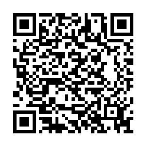 就算青尘乃是天仙也不敢直接以身硬抗如此密集二维码生成