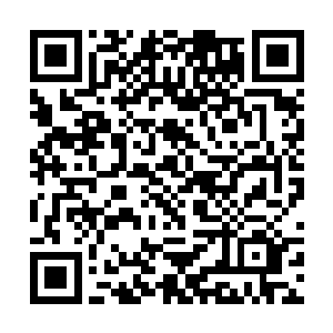 就算马里奥认定高扬是他的敌人而无法成为合作伙伴二维码生成