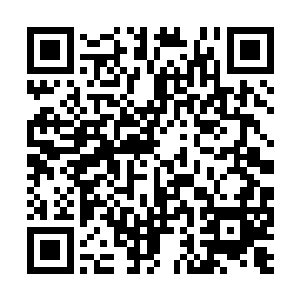 就类似于琥珀可以保存里面的蚊子和苍蝇几千万年二维码生成