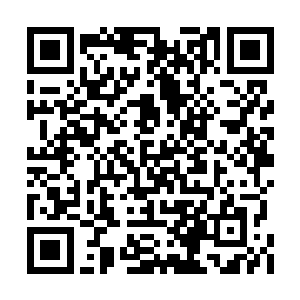 就给还跪在地上的齐浩然和范子衿使了一个眼色二维码生成