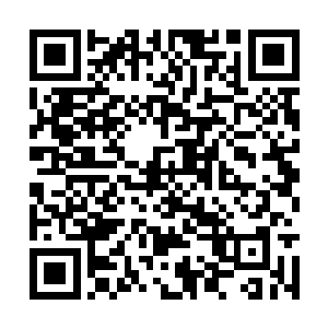 就给黑暗议会德古拉伯爵的儿子小德古拉给盯上了二维码生成