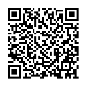 就继续边吃边翻看那些乱七八糟的纸片和羊皮卷二维码生成