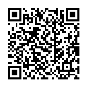 就能发现这两串珍珠手链的表面有一股淡淡地毫光二维码生成