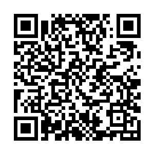 就能将农场与自己先前拥有的几个世界碎片融合一体二维码生成