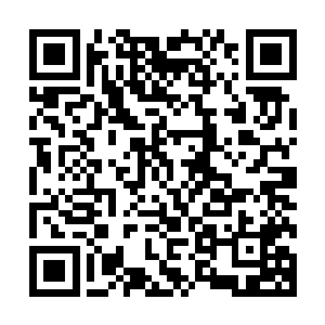 就能感觉到怀远堂中穆元等长老看在自己背上的那灼热的目光二维码生成