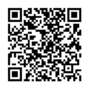 就能知道这人或动物身上有没有他们需要的骨头二维码生成