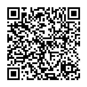 就能轻易的出动四名圣皇大圆满以及十几名实力都在圣皇七重天以上的强者二维码生成