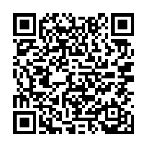 就能配合其他同伴重创甚至是杀死这个该死的家伙二维码生成