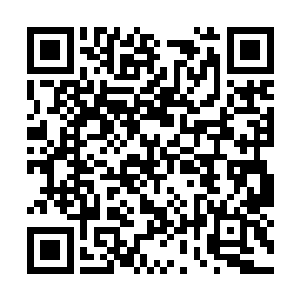 就自顾自的走进了被白色仙气笼罩着的区域内部了二维码生成