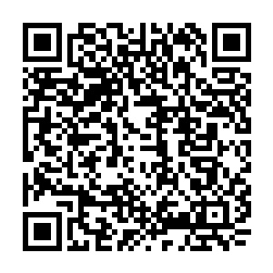 就蓝鳍金枪鱼在自然界的长势从小鱼苗到成鱼要六年而且成鱼才二百磅不到二维码生成