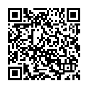 就表示念儿再也不可能成为北寒国未来的储君了二维码生成