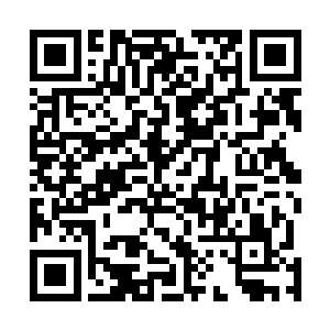 就被不同的域外天魔带到我们的宇宙也极有可能帮助我们二维码生成