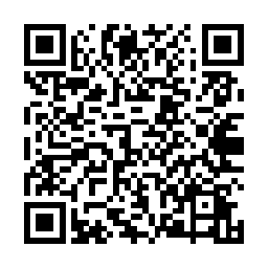 就被习惯帮他保管各种东西的伊普西龙收到肚子里去了二维码生成