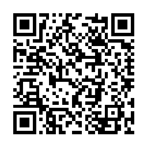 就被二千多名满脸凶悍之色的盗贼给无情的镇压了二维码生成