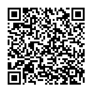 就被校队教练看中招揽……你这妥妥的是体育竞技类小说男主角的待遇啊二维码生成