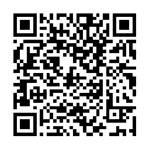 就被水菲菲给点住了穴道的太子和轩辕曼舞的面前二维码生成