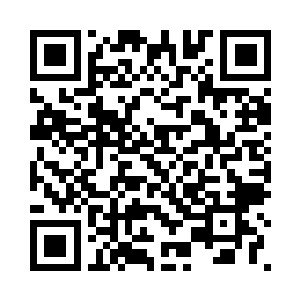 就被燕乘风轻轻松松的解决了近半二维码生成