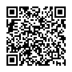 就被蜂拥而来的南阳城富商贵族心腹手下给团团围住二维码生成