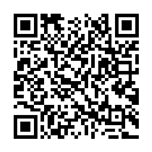 就被那名中级神官全部换成了神殿的圣骑士来看守二维码生成