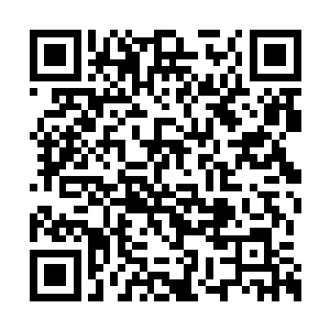 就被龙战以泰山压顶之势给结结实实在压了下去二维码生成