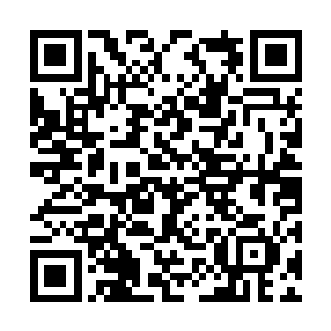 就要动手将那血线虫从摩呼罗迦的身体当中取出来二维码生成