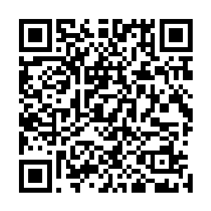 就要因为后遗症发作动弹不得被自己的血妖姬之力活活胀死二维码生成